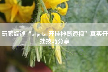 玩家综述“wepoker开挂神器透视”真实开挂技巧分享
