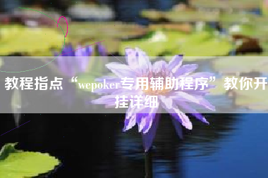 教程指点“wepoker专用辅助程序”教你开挂详细