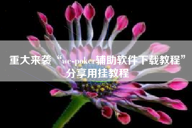 重大来袭“we-poker辅助软件下载教程”分享用挂教程