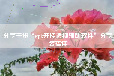 分享干货“wpk开挂透视辅助软件”分享装挂详