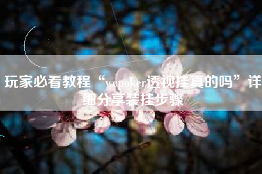 玩家必看教程“wepoker透视挂真的吗”详细分享装挂步骤