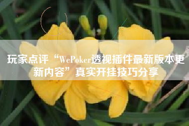 玩家点评“WePoker透视插件最新版本更新内容	”真实开挂技巧分享