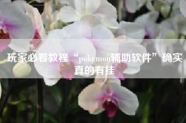 玩家必看教程“pokemon辅助软件”确实真的有挂