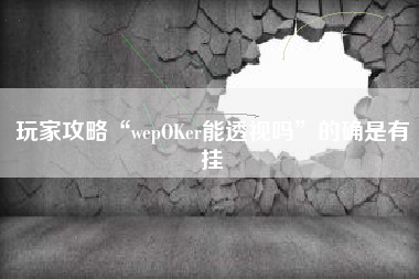 玩家攻略“wepOKer能透视吗”的确是有挂
