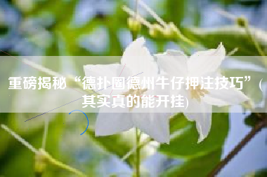 重磅揭秘“德扑圈德州牛仔押注技巧	”(其实真的能开挂)