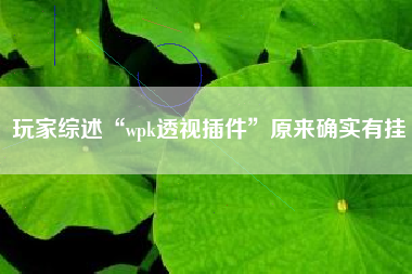 玩家综述“wpk透视插件”原来确实有挂