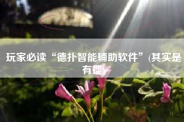 玩家必读“德扑智能辅助软件	”(其实是有挂)