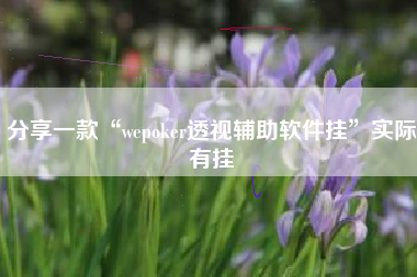 分享一款“wepoker透视辅助软件挂”实际有挂