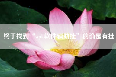 终于找到“wpk软件辅助挂”的确是有挂