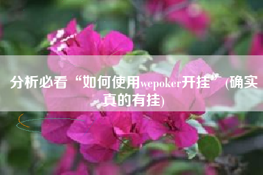 分析必看“如何使用wepoker开挂”(确实真的有挂)