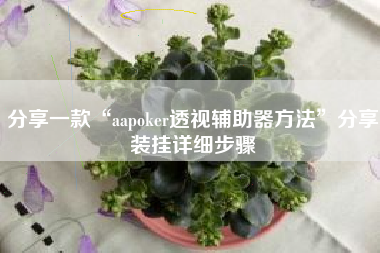 分享一款“aapoker透视辅助器方法”分享装挂详细步骤