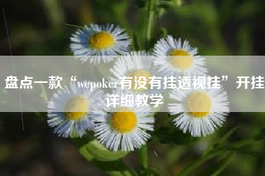 盘点一款“wepoker有没有挂透视挂”开挂详细教学