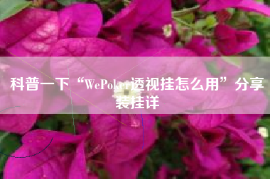 科普一下“WePoker透视挂怎么用”分享装挂详