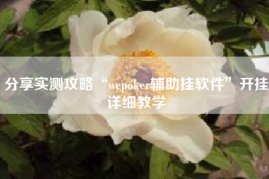 分享实测攻略“wepoker辅助挂软件”开挂详细教学