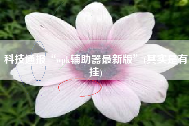 科技通报“wpk辅助器最新版”(其实是有挂)