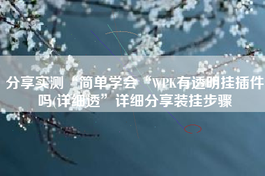 分享实测“简单学会“WPK有透明挂插件吗(详细透”详细分享装挂步骤