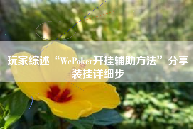 玩家综述“WePoker开挂辅助方法	”分享装挂详细步