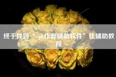 终于找到“wpk作弊辅助软件”挂辅助教程
