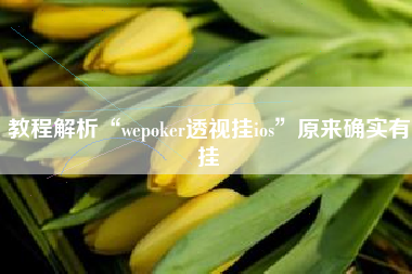 教程解析“wepoker透视挂ios”原来确实有挂