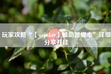 玩家攻略“【wepoker】辅助器脚本”详细分享开挂