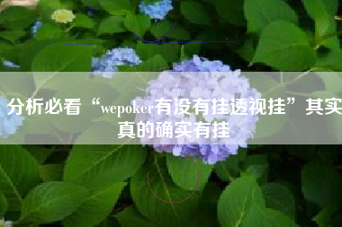 分析必看“wepoker有没有挂透视挂	”其实真的确实有挂