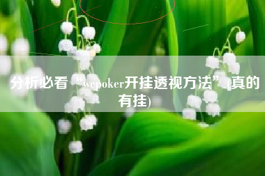 分析必看“wepoker开挂透视方法	”(真的有挂)