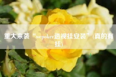 重大来袭“wepoker透视挂安装”(真的有挂)