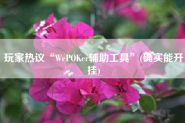 玩家热议“WePOKer辅助工具	”(确实能开挂)