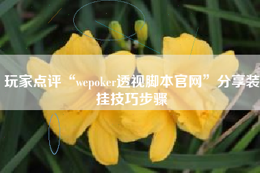 玩家点评“wepoker透视脚本官网”分享装挂技巧步骤