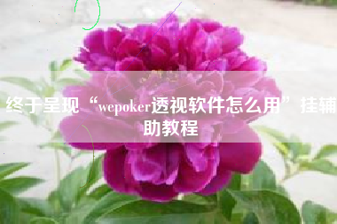 终于呈现“wepoker透视软件怎么用	”挂辅助教程
