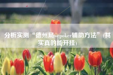 分析实测“德州局wepoker辅助方法”(其实真的能开挂)