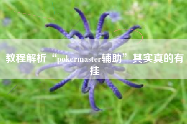 教程解析“pokermaster辅助”其实真的有挂