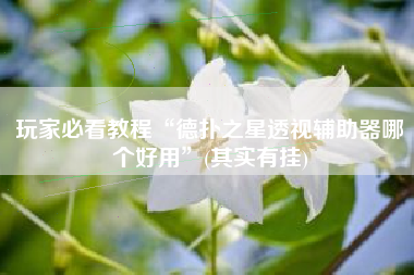 玩家必看教程“德扑之星透视辅助器哪个好用”(其实有挂) 玩家必看教程“德扑之星透视辅助器哪个好用”(其实有挂)