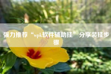 强力推荐“wpk软件辅助挂”分享装挂步骤