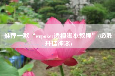 推荐一款“wepoker透视脚本教程”(必胜开挂神器)