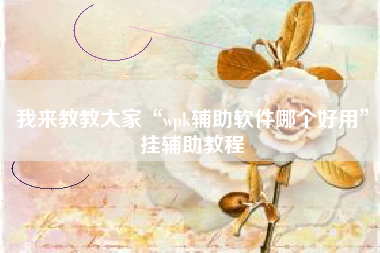 我来教教大家“wpk辅助软件哪个好用	”挂辅助教程