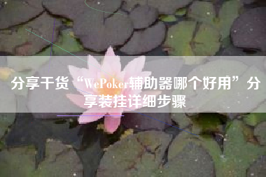 分享干货“WePoker辅助器哪个好用	”分享装挂详细步骤