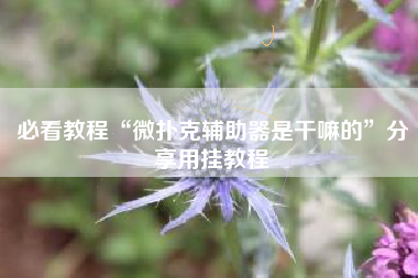 必看教程“微扑克辅助器是干嘛的	”分享用挂教程