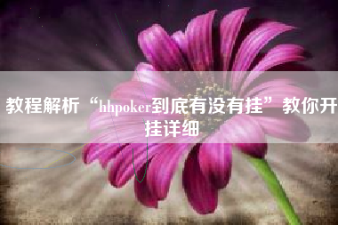教程解析“hhpoker到底有没有挂”教你开挂详细