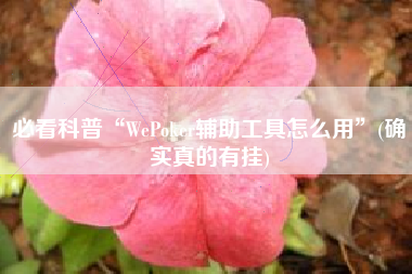 必看科普“WePoker辅助工具怎么用	”(确实真的有挂)