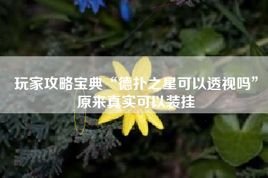 玩家攻略宝典“德扑之星可以透视吗”原来真实可以装挂