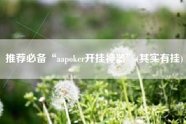 推荐必备“aapoker开挂神器”(其实有挂) 推荐必备“aapoker开挂神器”(其实有挂)