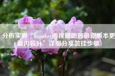 分析实测“wepoker透视辅助器最新版本更新内容分”详细分享装挂步骤