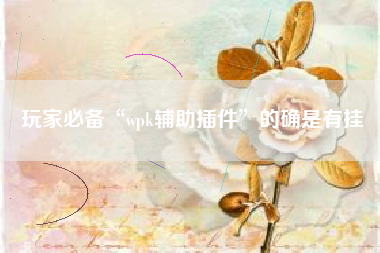 玩家必备“wpk辅助插件	”的确是有挂