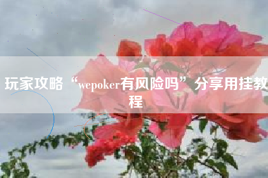 玩家攻略“wepoker有风险吗”分享用挂教程