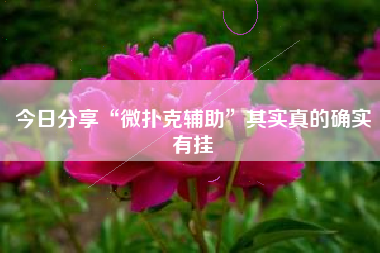 今日分享“微扑克辅助”其实真的确实有挂 今日分享“微扑克辅助”其实真的确实有挂