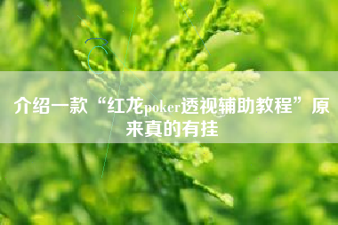 介绍一款“红龙poker透视辅助教程”原来真的有挂