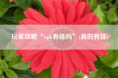 玩家攻略“wpk有挂吗	”(真的有挂)