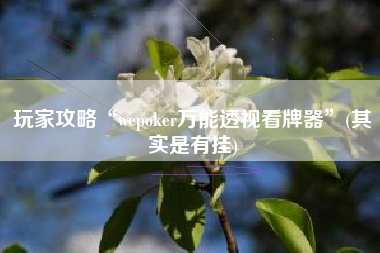 玩家攻略“wepoker万能透视看牌器	”(其实是有挂)