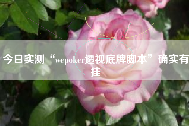 今日实测“wepoker透视底牌脚本	”确实有挂